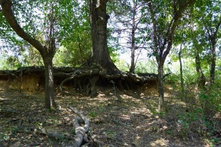 Historical Kiamichi River Recreational Property For Sale - image 17