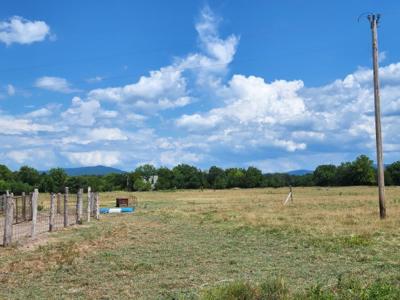 Historical Kiamichi River Recreational Property For Sale - image 11