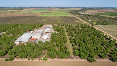 Northern CA turn-key Walnut Processing Facilities for Sale - image 28