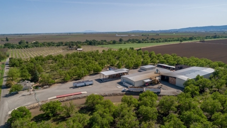 Northern CA turn-key Walnut Processing Facilities for Sale - image 26