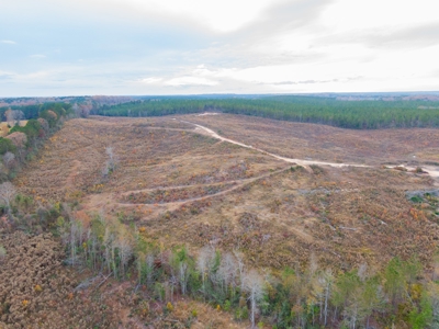 Hunting Land In Ouachita Parish Louisiana For Sale - image 5