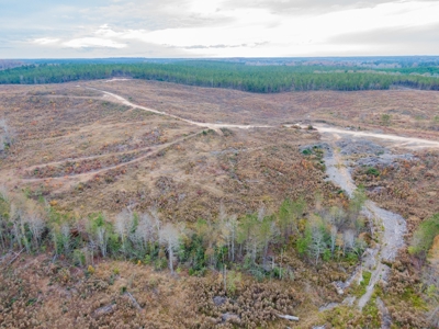 Hunting Land In Ouachita Parish Louisiana For Sale - image 4