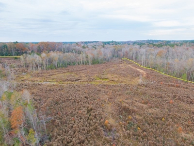 Hunting Land In Ouachita Parish Louisiana For Sale - image 3