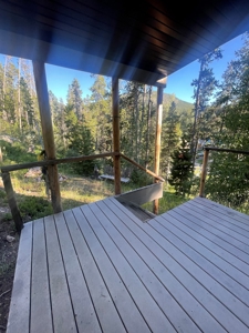 Neihart Montana Ski Cabin - image 15