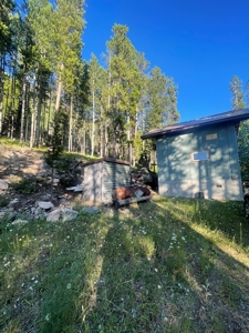 Neihart Montana Ski Cabin - image 18