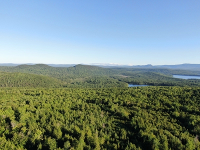 Maine Hunting Business & Timberland For Sale - image 6