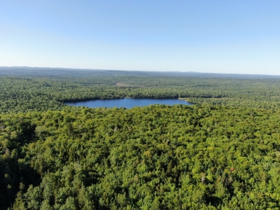 Maine Hunting Business & Timberland For Sale - image 12