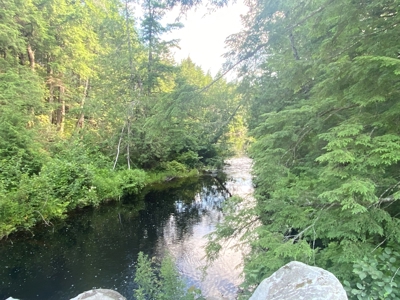 Maine Hunting Business & Timberland For Sale - image 19