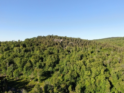 Maine Hunting Business & Timberland For Sale - image 9