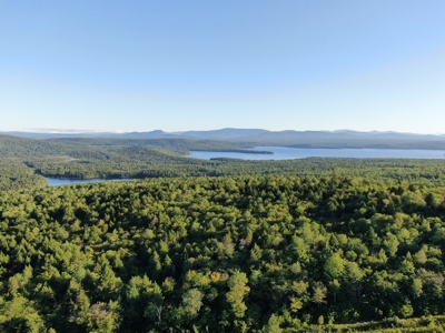 Maine Hunting Business & Timberland For Sale - image 3