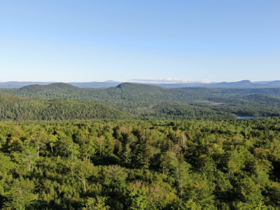 Maine Hunting Business & Timberland For Sale - image 5