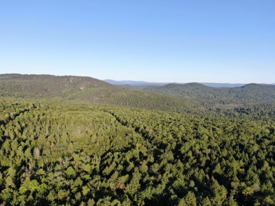 Maine Hunting Business & Timberland For Sale - image 2