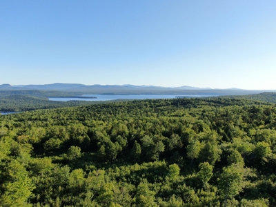 Maine Hunting Business & Timberland For Sale - image 4