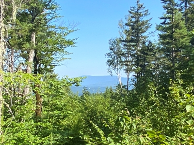 Maine Hunting Business & Timberland For Sale - image 31