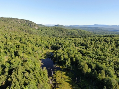 Maine Hunting Business & Timberland For Sale - image 11