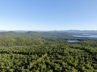 Maine Hunting Business & Timberland For Sale - image 7