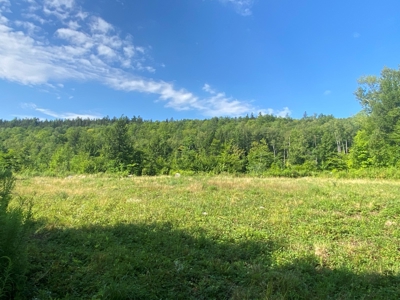 Maine Hunting Business & Timberland For Sale - image 23