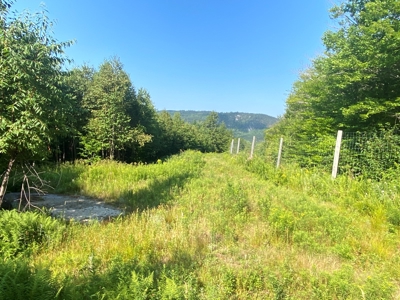 Maine Hunting Business & Timberland For Sale - image 27