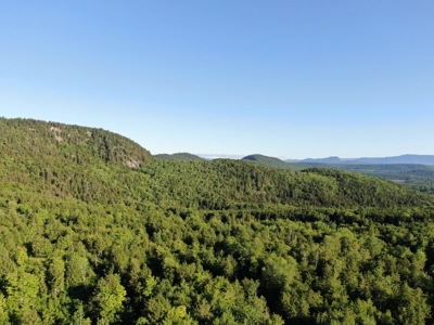 Maine Hunting Business & Timberland For Sale - image 10