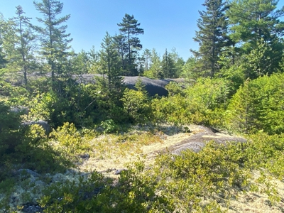 Maine Hunting Business & Timberland For Sale - image 29