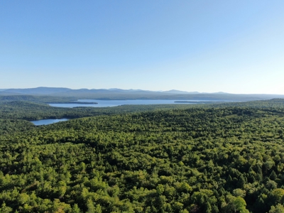 Maine Hunting Business & Timberland For Sale - image 8