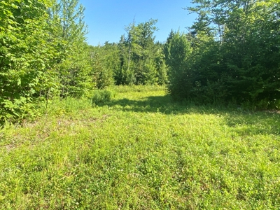 Maine Hunting Business & Timberland For Sale - image 30