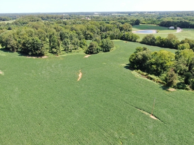 118.68 acres for sale bordering Franklin Ky Industrial Park. - image 16