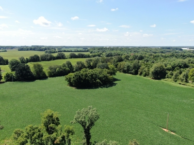 118.68 acres for sale bordering Franklin Ky Industrial Park. - image 9