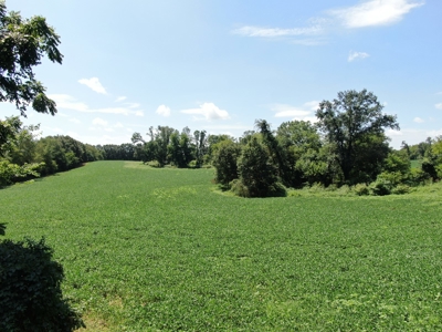118.68 acres for sale bordering Franklin Ky Industrial Park. - image 20