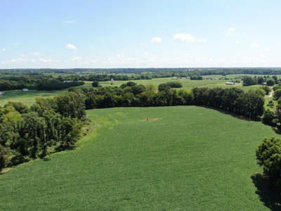 118.68 acres for sale bordering Franklin Ky Industrial Park. - image 15