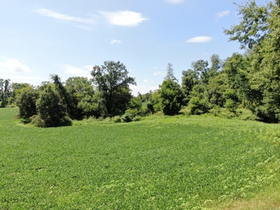 118.68 acres for sale bordering Franklin Ky Industrial Park. - image 19