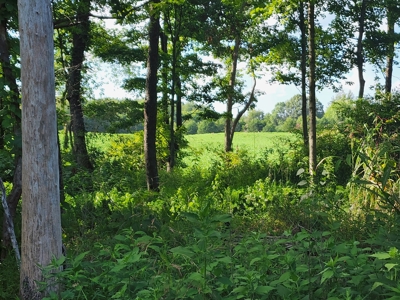 118.68 acres for sale bordering Franklin Ky Industrial Park. - image 4