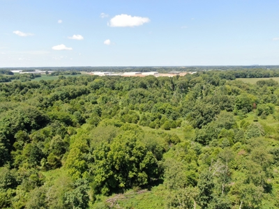 118.68 acres for sale bordering Franklin Ky Industrial Park. - image 10
