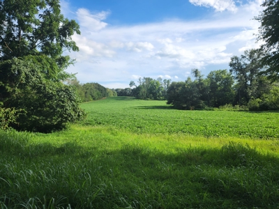 118.68 acres for sale bordering Franklin Ky Industrial Park. - image 3