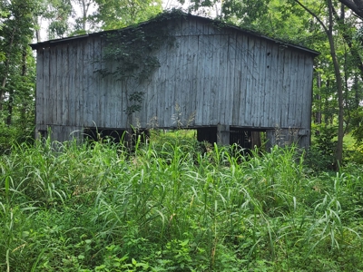 118.68 acres for sale bordering Franklin Ky Industrial Park. - image 24