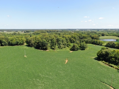 118.68 acres for sale bordering Franklin Ky Industrial Park. - image 13