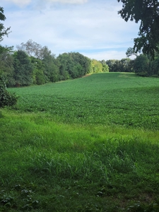118.68 acres for sale bordering Franklin Ky Industrial Park. - image 26