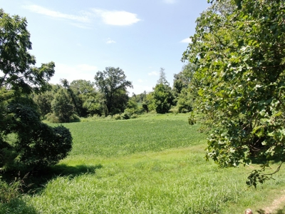118.68 acres for sale bordering Franklin Ky Industrial Park. - image 18