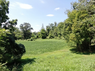 118.68 acres for sale bordering Franklin Ky Industrial Park. - image 17