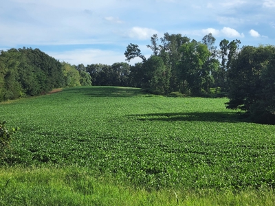 118.68 acres for sale bordering Franklin Ky Industrial Park. - image 1