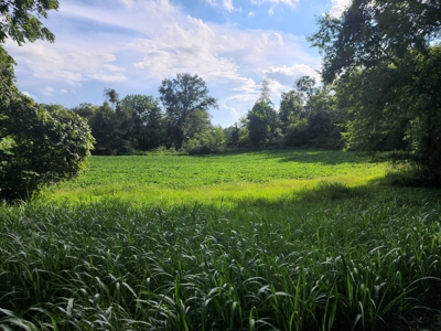 118.68 acres for sale bordering Franklin Ky Industrial Park. - image 2