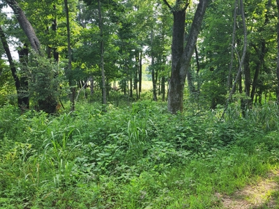 118.68 acres for sale bordering Franklin Ky Industrial Park. - image 25