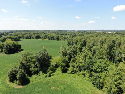 118.68 acres for sale bordering Franklin Ky Industrial Park. - image 6
