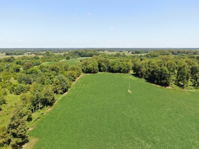 118.68 acres for sale bordering Franklin Ky Industrial Park. - image 12