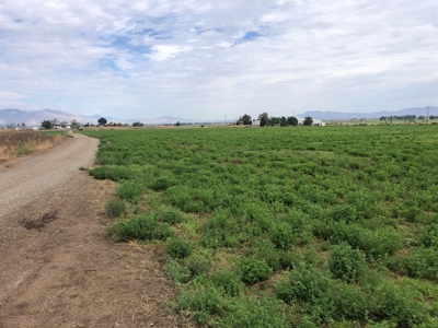 Nevada Ranch Land Farm Water Rights Horse Property For Sale - image 39