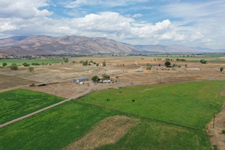 Nevada Ranch Land Farm Water Rights Horse Property For Sale - image 8