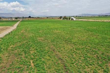 Nevada Ranch Land Farm Water Rights Horse Property For Sale - image 12