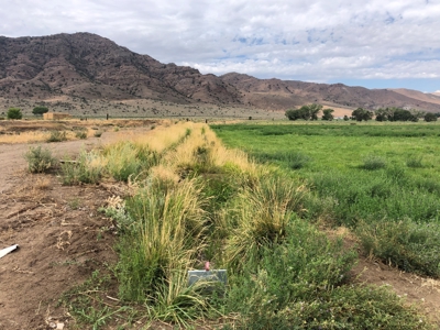 Nevada Ranch Land Farm Water Rights Horse Property For Sale - image 40
