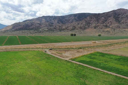 Nevada Ranch Land Farm Water Rights Horse Property For Sale - image 4