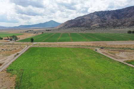 Nevada Ranch Land Farm Water Rights Horse Property For Sale - image 3